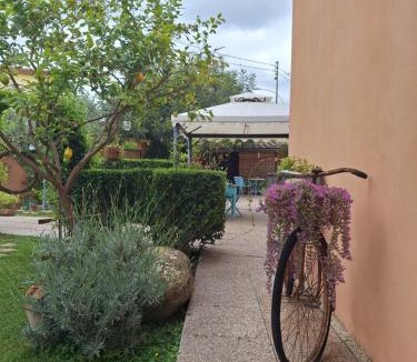 Barumini Bed & Breakfast | B&B Casa Piras IUN3880