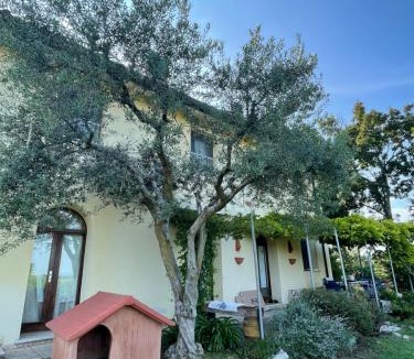 Monzambano House | B&B Il Melograno