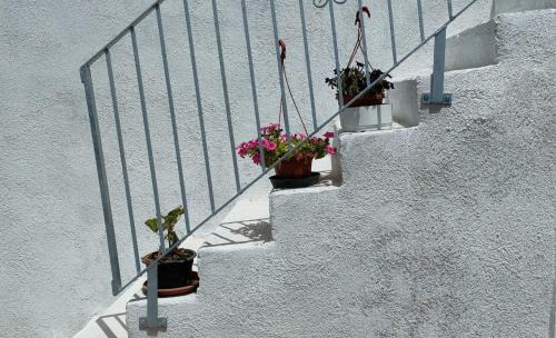Sedilo Bed & Breakfast | B&B Lichitu