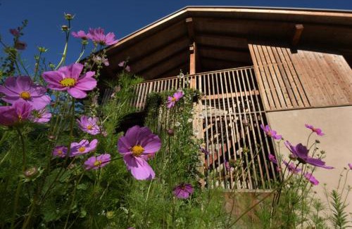 Tesero Apartment | B&B Mas de Lagorae