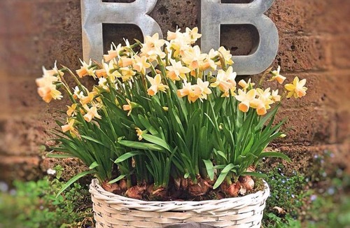Goito Bed & Breakfast | B&B Nascondino