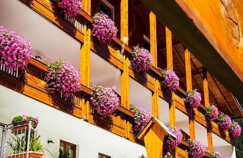 Valtellina Apartment | Baita dei Pini