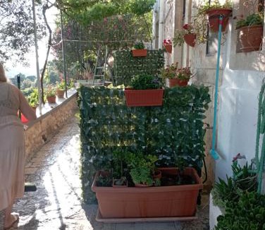 Centro Storico House | Belvedere