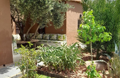 Hivernage House | Bungalows en Terre et Bois Traditionnels Dans un Jardin, Avec Piscine