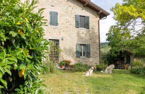 Monterenzio Bed & Breakfast | Cá Pradella - Harmony and Nature, Bed & Breakfast
