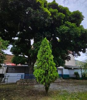 Quillabamba House | Casa Verde