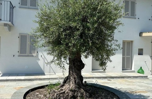 Canelli House | Cascina Canelli - Apt. Alba, Cascina Canelli - Apt. Alba