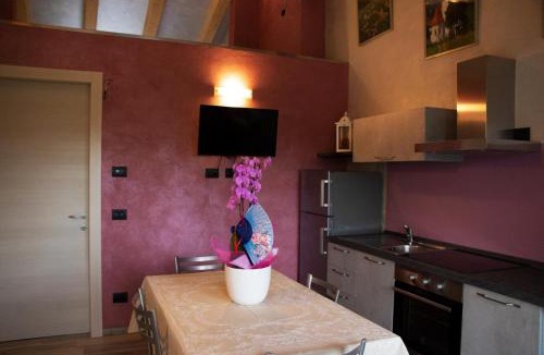 Serralunga d'Alba Apartment | Country house la rosa dei vini