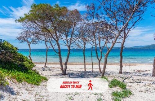 Lido Apartment | Fronte Mare - Parcheggio Privato - Elvissa View