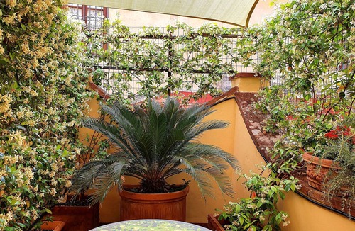 San Frediano Hotel | Hotel Annalena