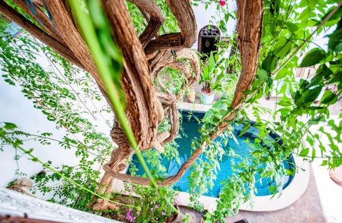 Sidi Ben Slimane El Jazouli House | Hotel & Spa Riad Dar El Aila