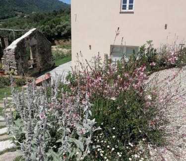San Michele di Moriano Apartment | Il colle