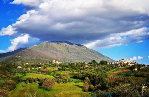 Palombara Sabina House | Il Girasole B&B