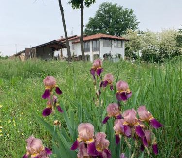 Dogliani Apartment | Iris