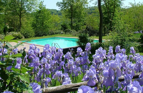Proceno Apartment | Komfortable Unterkunft in einem Schloss, Schwimmbad by Interhome