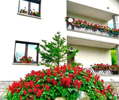 Malonno Apartment | La Farfalla B&B - Mark&Rosy
