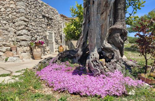 Corigliano D'Otranto Apartment | La Nicchia-Trullo