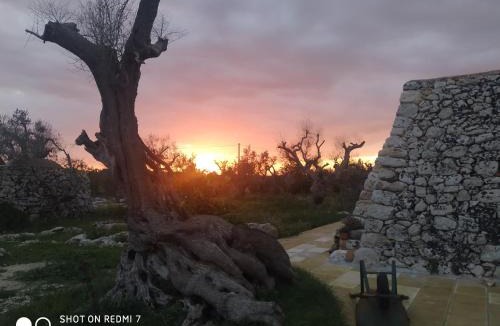 Corigliano D'Otranto Apartment | La Nicchia-Trullo