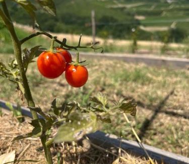 Diano d'Alba Resort | Le Cornici - Cascina di Charme