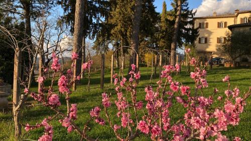 Rancolfo House | Le Due Querce