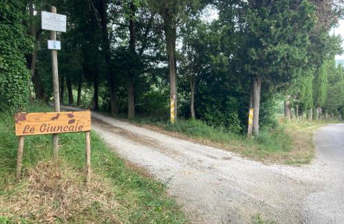 Montescudaio House | Le Giuncaie - Vigna con alloggio