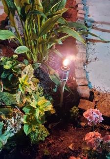 Benetutti Bed & Breakfast | Le rondini