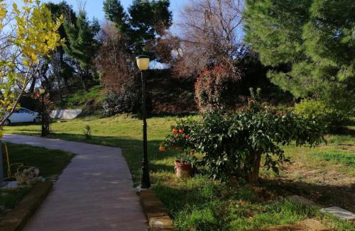 Palombina Nuova Bed & Breakfast | le tamerici B&B