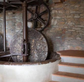 Cascine-La Croce Villa | Luxury 6-bed Tuscan Villa near Lucca and Florence