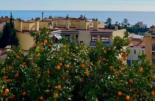Beaulieu-sur-Mer Apartment | Magnificent 2p apartment in a villa with sea view, terrace & private parking.