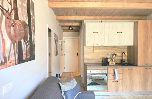 Sestriere Apartment | Moda Apartments 69