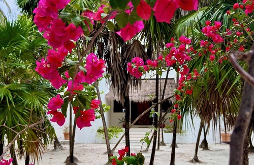 Majahual House | Oceanfront Villa: Casona Palms on Private Beachfront