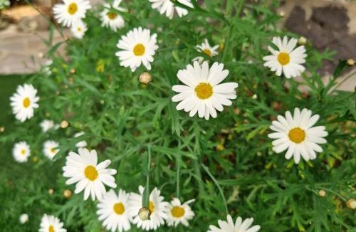 Ghilarza House | Omo Madela