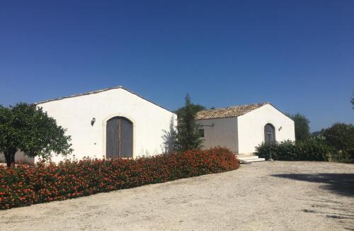 Syracuse House | Orecchie di Lepre