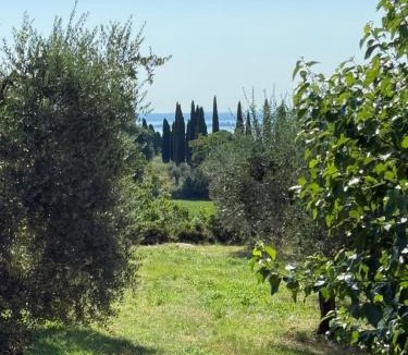 Monte House | Padenghe Olive House - Ground-Floor Lake View Amid Olives