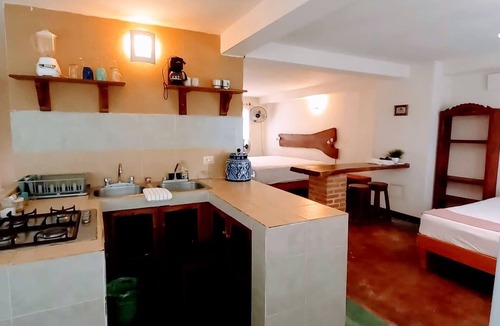 Centro Hostel | Pata de Perro Bacalar