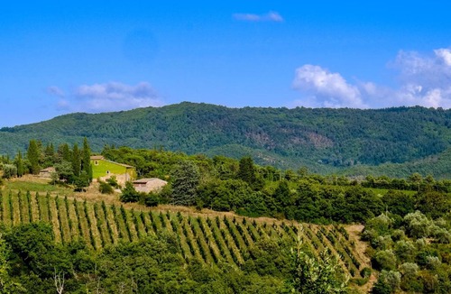 Radda in Chianti House | Podere Pruneto