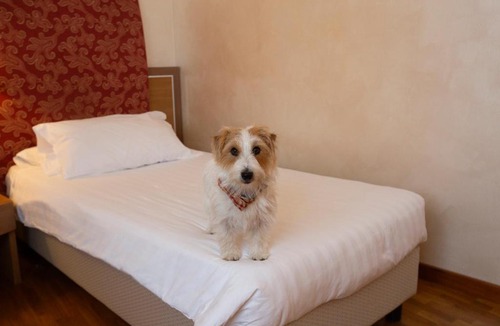 San Vittore Olona Hotel | Poli Hotel