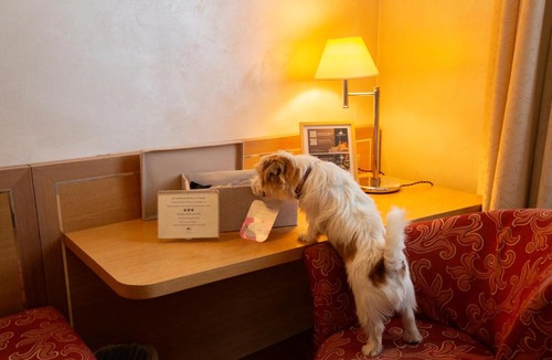 San Vittore Olona Hotel | Poli Hotel