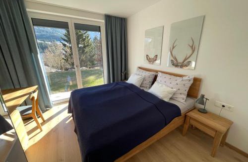 Hinterstoder Apartment | Privatwohnung am Prielerweg in Hinterstoder