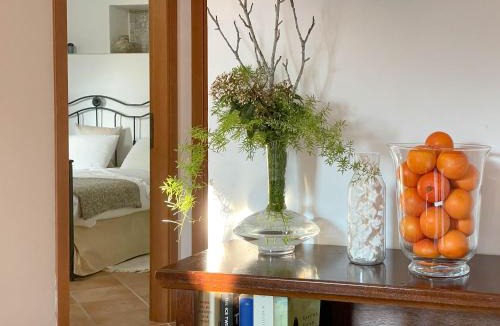 Palinuro Apartment | Residence e B&B Villamirella
