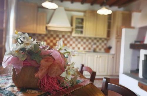 Montecarelli Apartment | Residence il Poggiolino