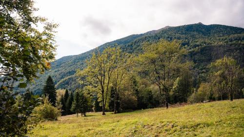 Timau Other | Rilassati tra verde e montagne a Cima Moscardo