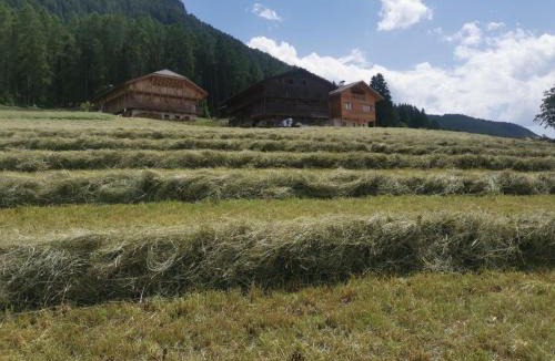 Castelrotto Apartment | Ritschhof