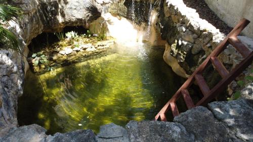 Tulum Cabin | Romantic Star Bath Suite, Cave Pool & Yoga Center