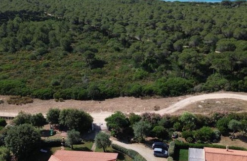 Alghero Apartment | Rosanna House in Bombarde Beach