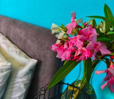 Is Molas Apartment | Sardinia Paradise
