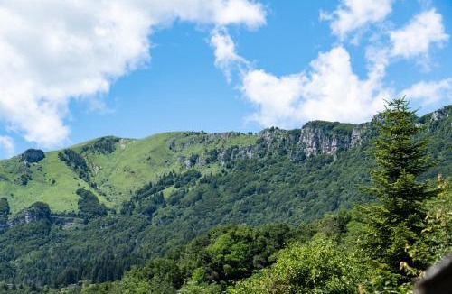 Brentonico Apartment | Slow Time Garden Monte Baldo - Digital Detox Retreat