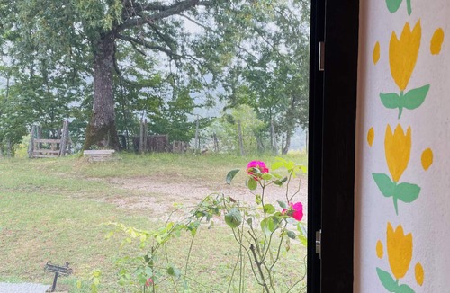 Casteldelci Apartment | Sweet home in the forest with mountains view - perfect for family and relax