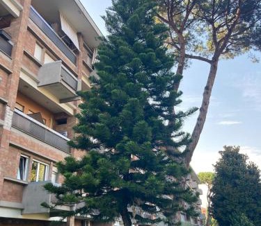Quartiere XIII Aurelio Apartment | TerracitoRoma