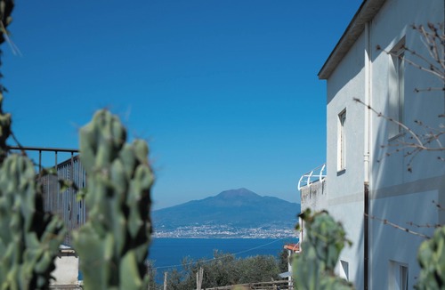 Meta House | The Ancient Pine Cone Chateau - Light Blue